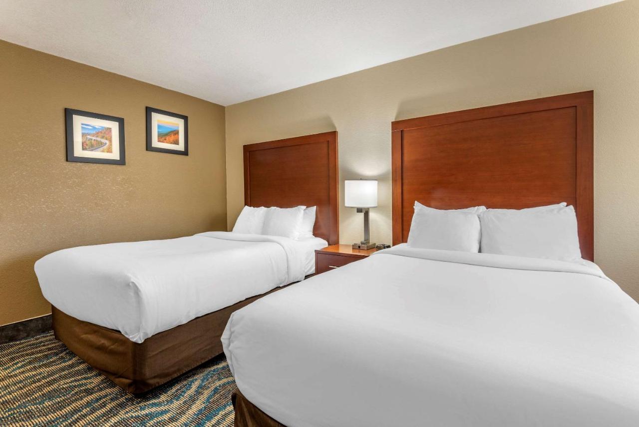 Comfort Inn Asheville East-Blue Ridge Pkwy Access Ngoại thất bức ảnh