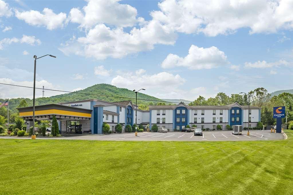 Comfort Inn Asheville East-Blue Ridge Pkwy Access Ngoại thất bức ảnh